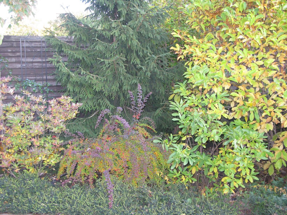 Ландшафт в пейзажном стиле с плавательным прудом 12 соток