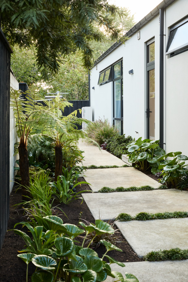 Contemporary Backyard Partial Sun formal garden in Christchurch With a Garden Path.