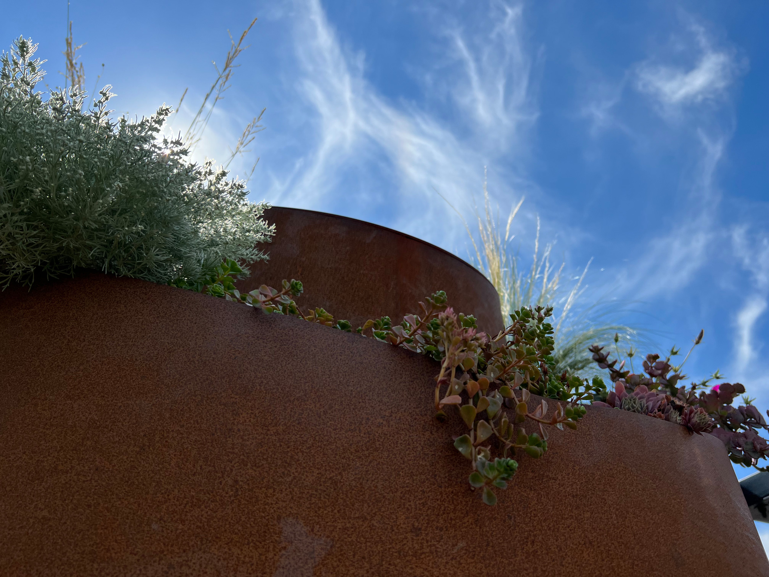 Borough Park Modern Rooftop