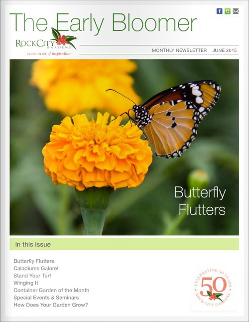 Florida Horticulture Advice From Rock City Gardens