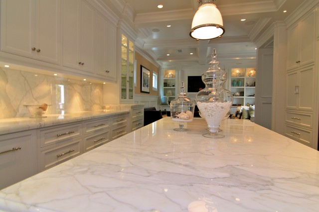 Sea Terrace traditional-kitchen