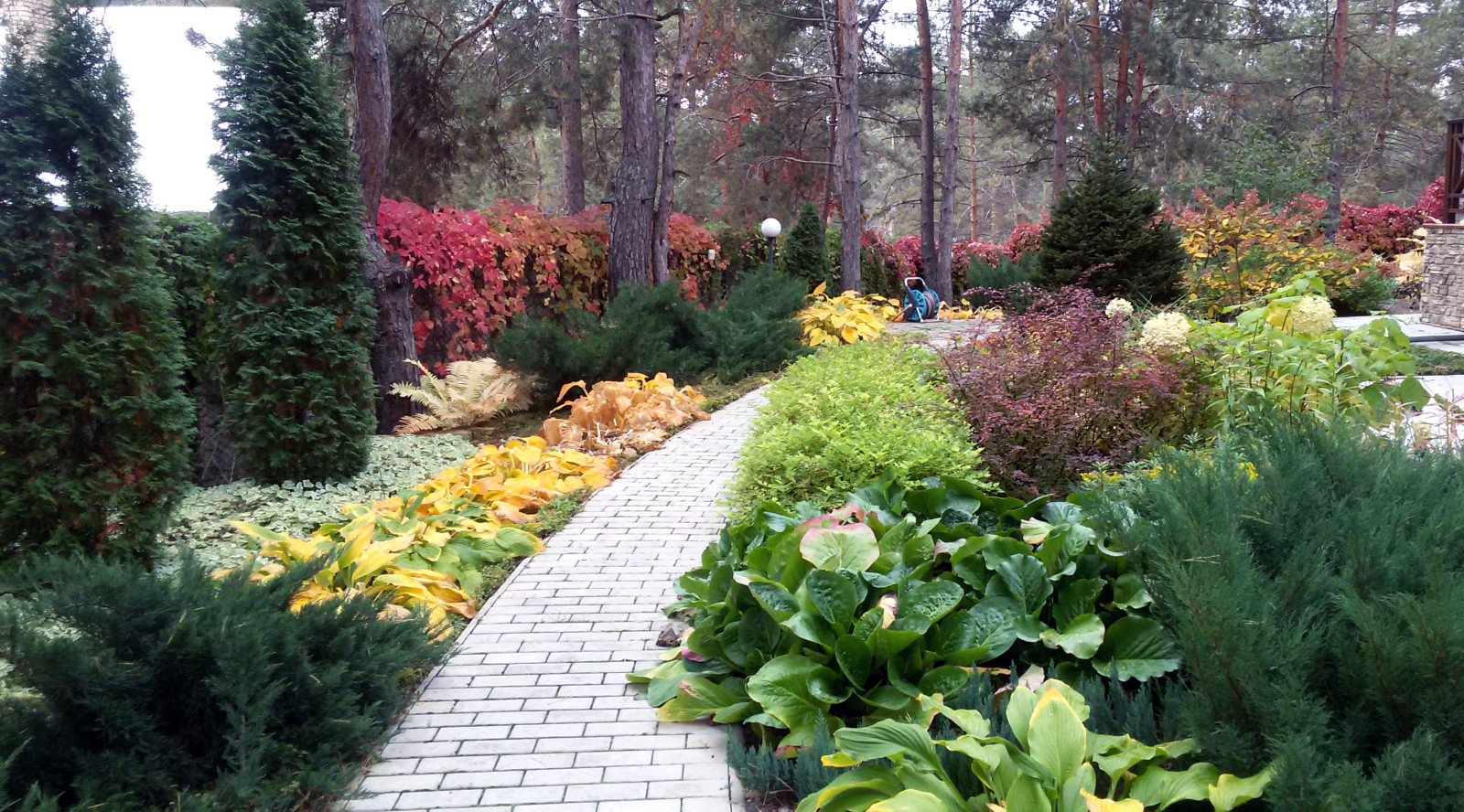 Сосновый бор