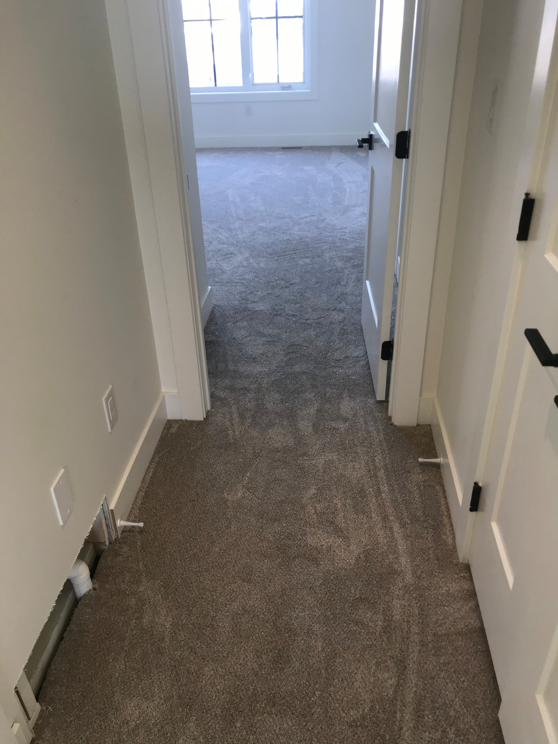 Carpet