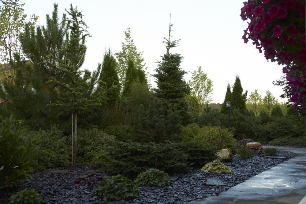 Витро Кантри