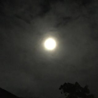 BDW+ - Project Photos & Reviews - makati city, PH PH | Houzz