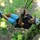 partha_bose100