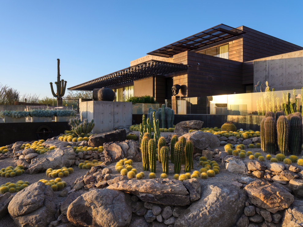 Garden in Phoenix.