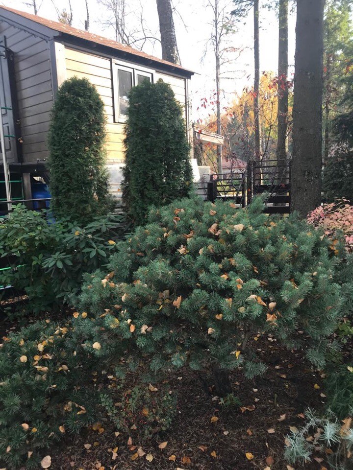 Усадьба Усово