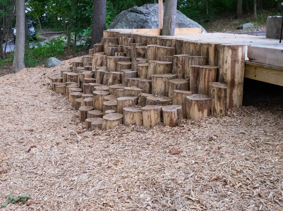 Discovery Woods