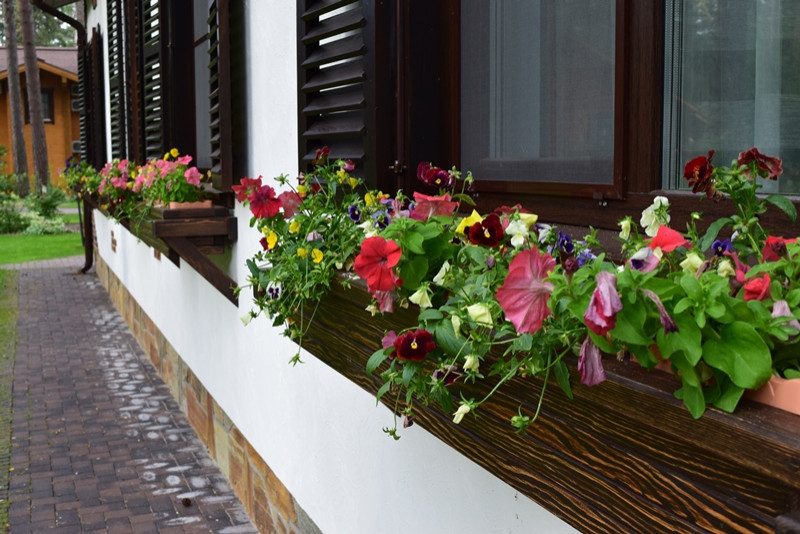 «Пряничный домик» в сосновом бору