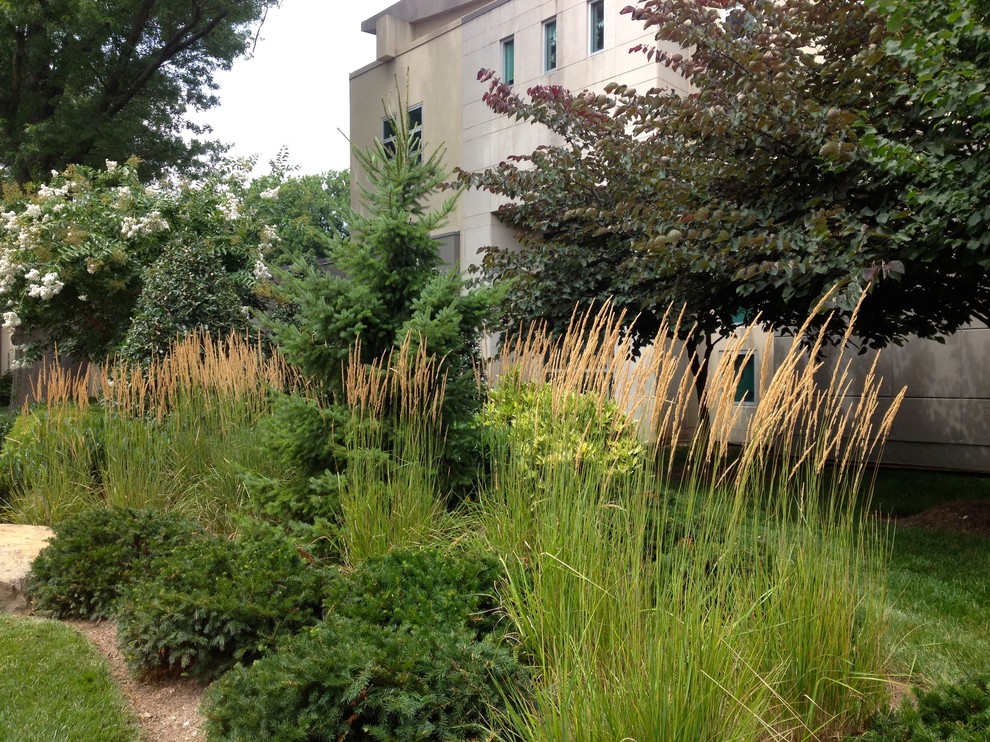 Beth El on Old Georgetown Rd, Bethesda