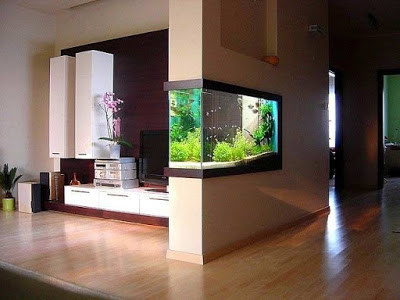 How To Make Wall Aquarium And Fish Tank Diy Houzz Au - Wall Fish Tanks Perth
