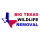 Big Texas Wildlife Removal