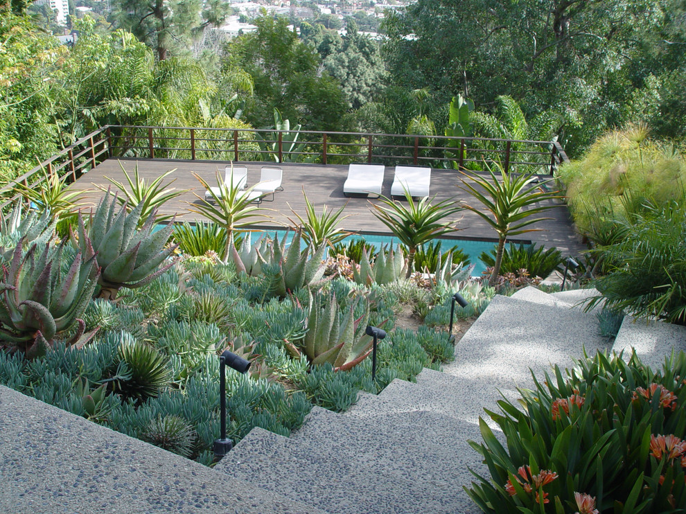 Midcentury garden in Los Angeles.