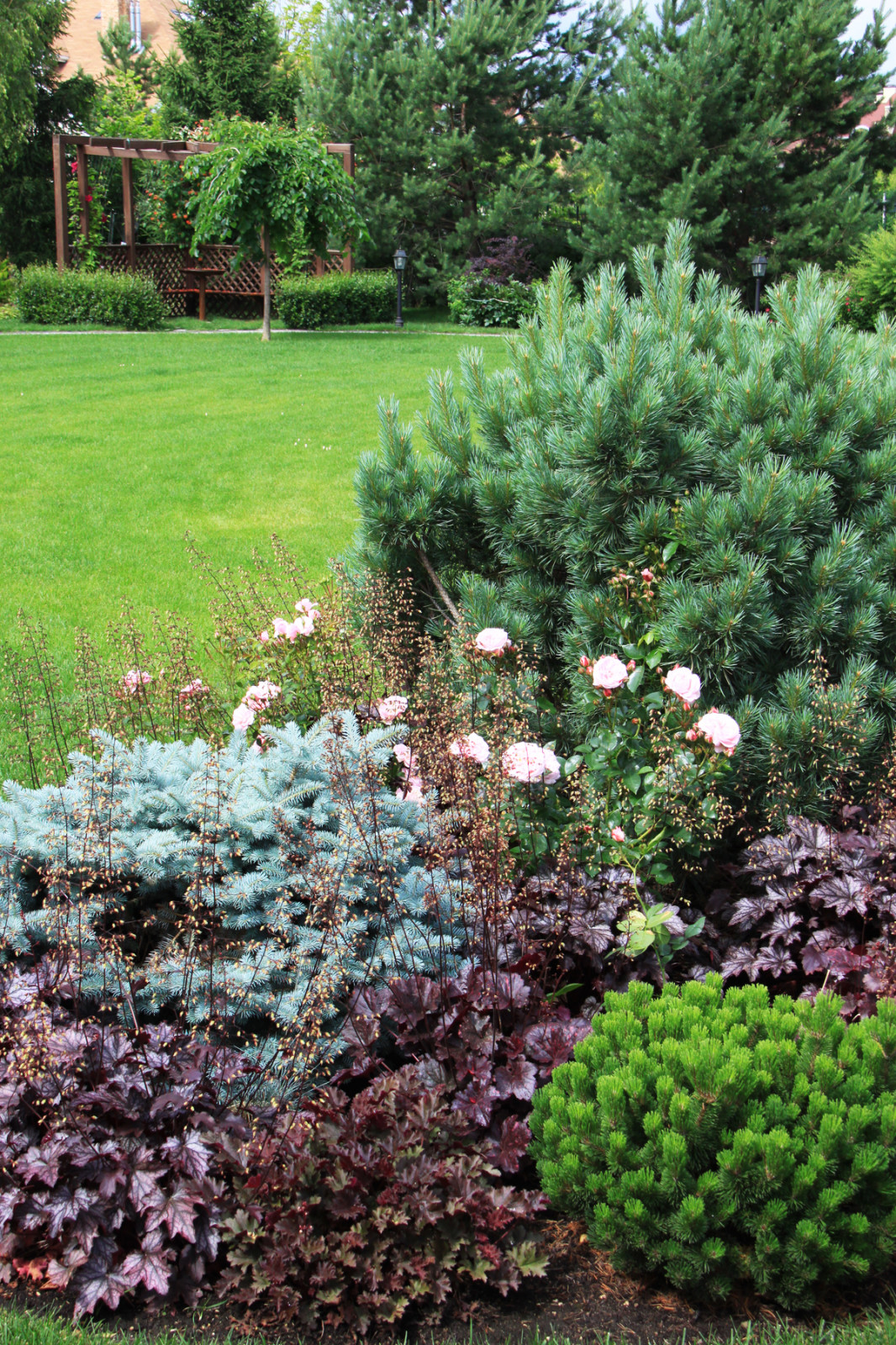 Коттеждный сад. Игры с цветом.