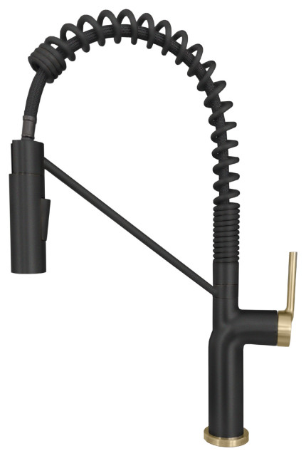 Single Handle Pull-Down Dual Mode Kitchen Faucet in Matte Black with Gold