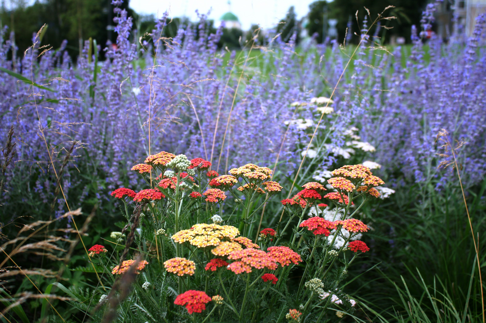 Цветники Советской площади