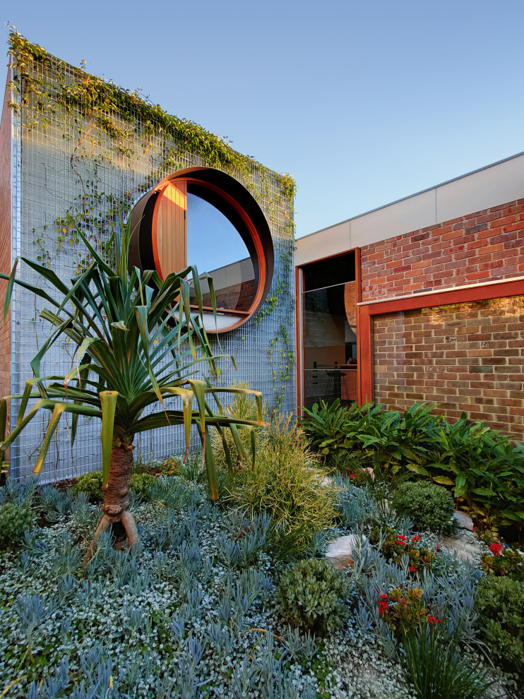This is an example of a midcentury garden in Sydney.