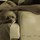 dana_reyburn