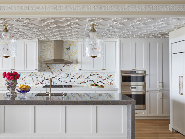 Kitchens transitional-kitchen