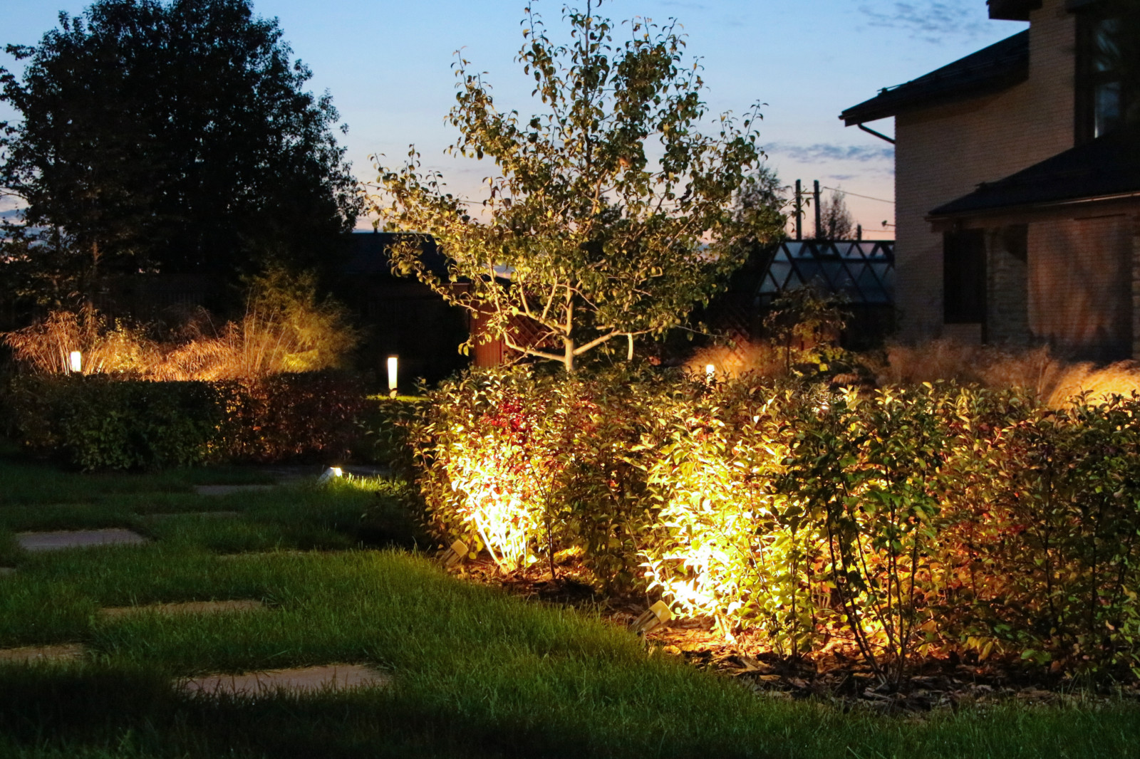 Петровское, ночной сад, 2018-2020 гг.