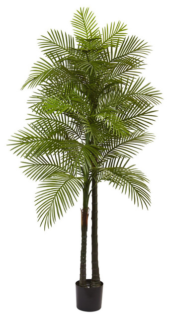 7' Double Robellini Palm Tree Uv Resistant, Indoor/Outdoor