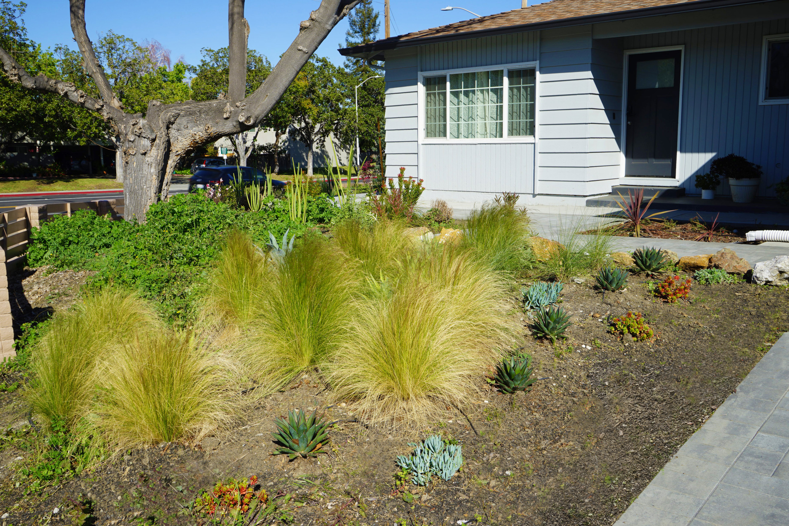 "0" Maintenance Garden at Pomeroy