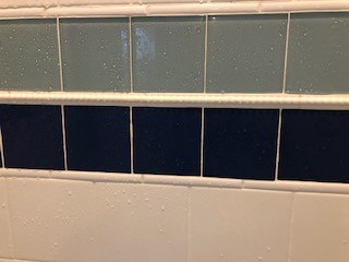 Our Work