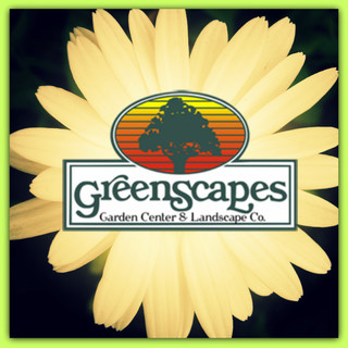 greenscapes landscape co