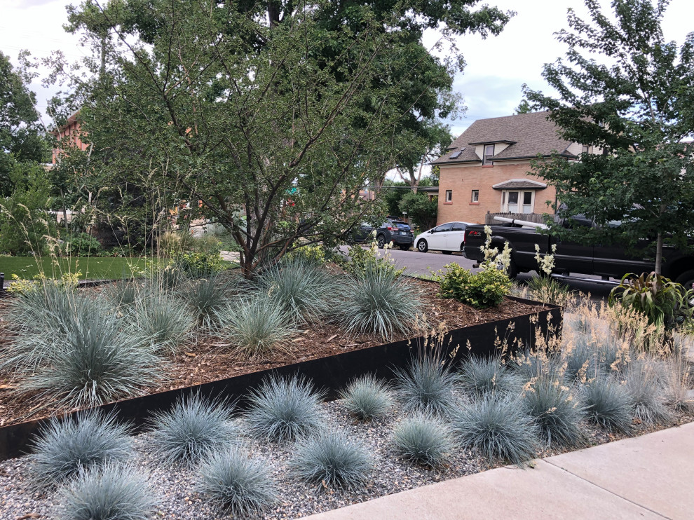 Photo of a small modern front yard full sun xeriscape in Denver with natural stone pavers.