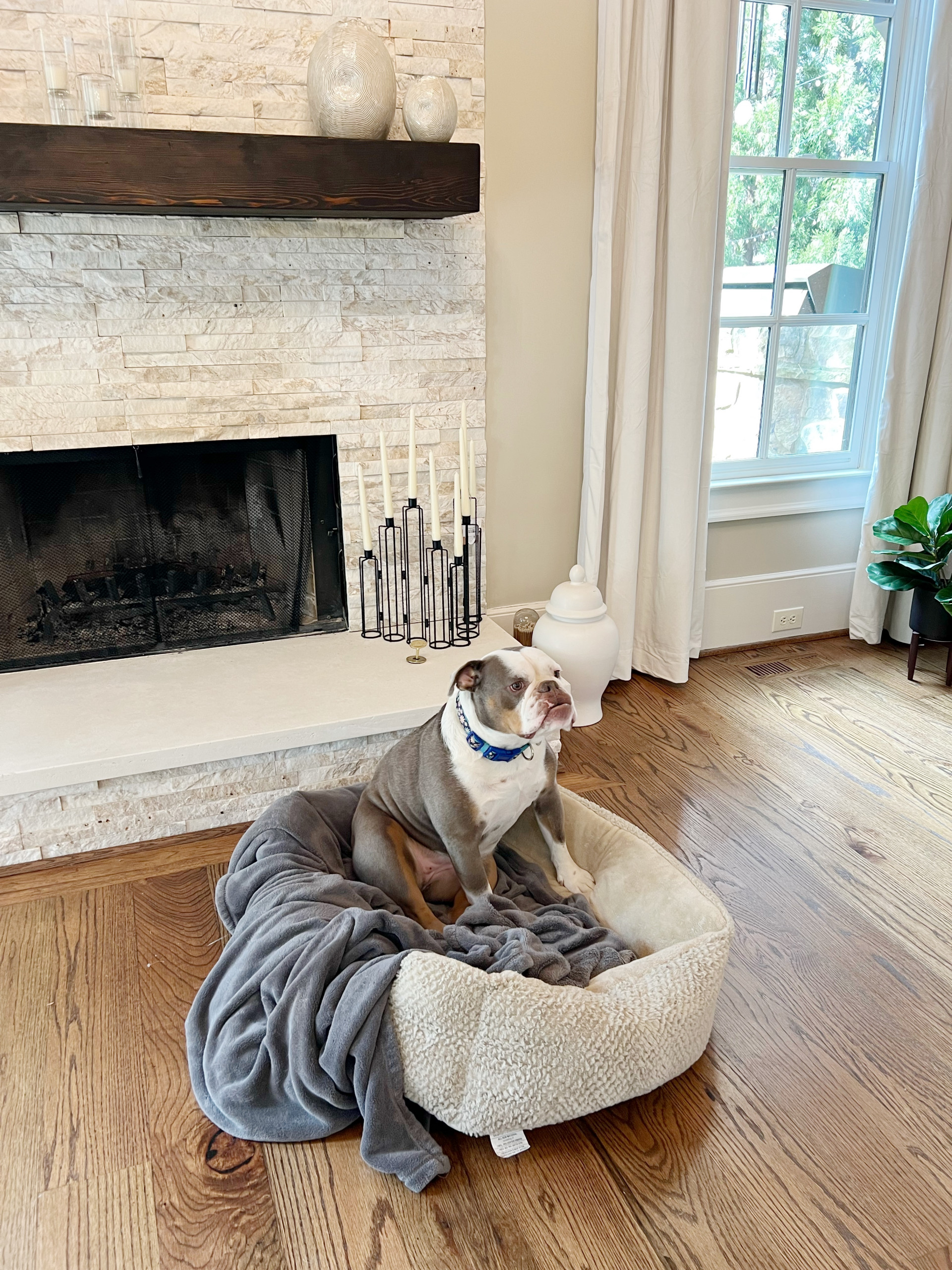 Fireplace & Family room Marietta