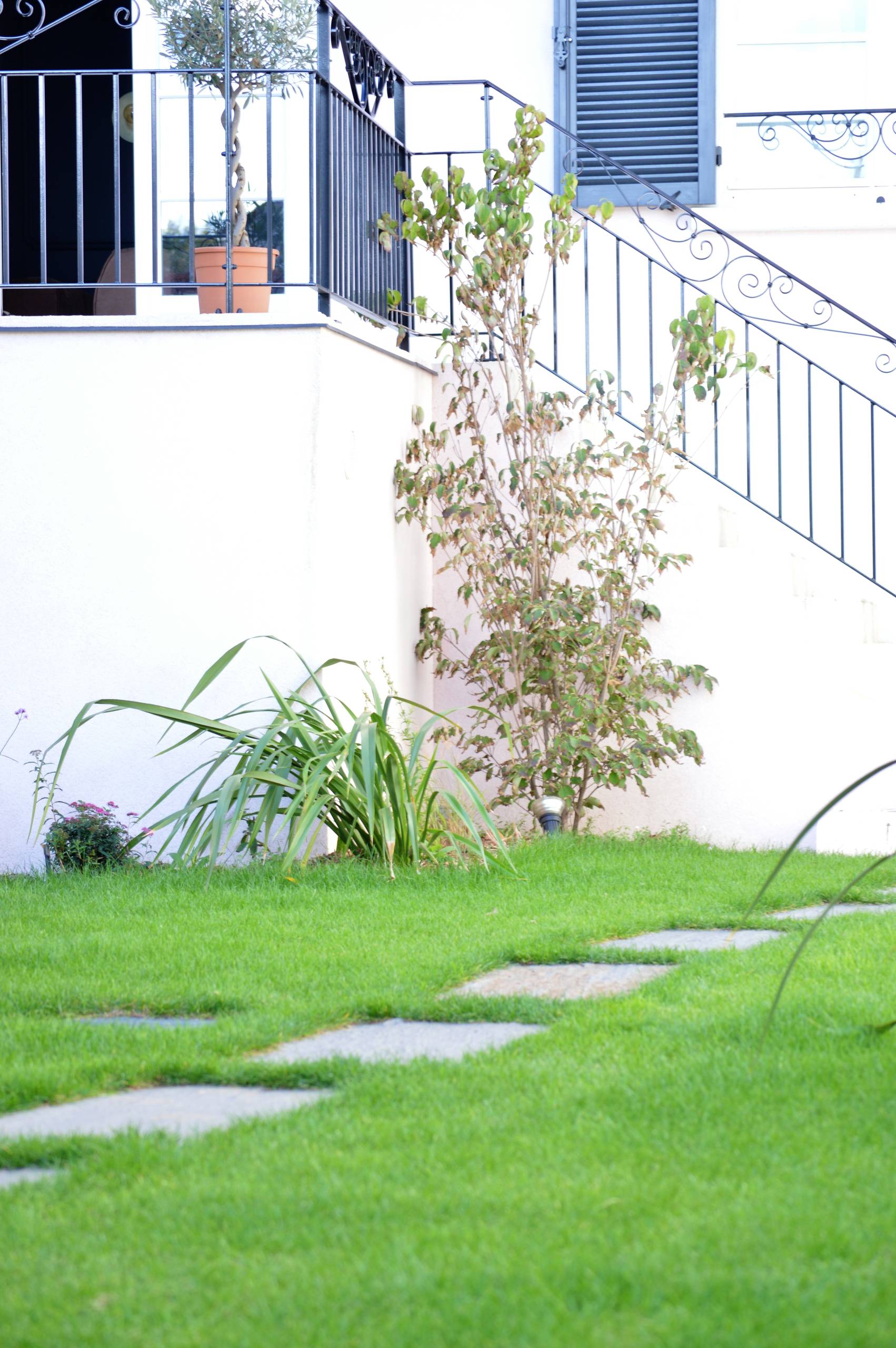 Le jardin devient l'accès principal à la maison