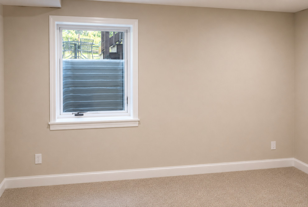 Ann Arbor - Basement Family Space, Guest Room & Egress Window