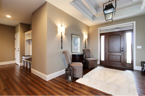 Inspiration for a mid-sized transitional foyer in Cedar Rapids with brown walls, vinyl floors, a single front door, a dark wood front door and brown floor.