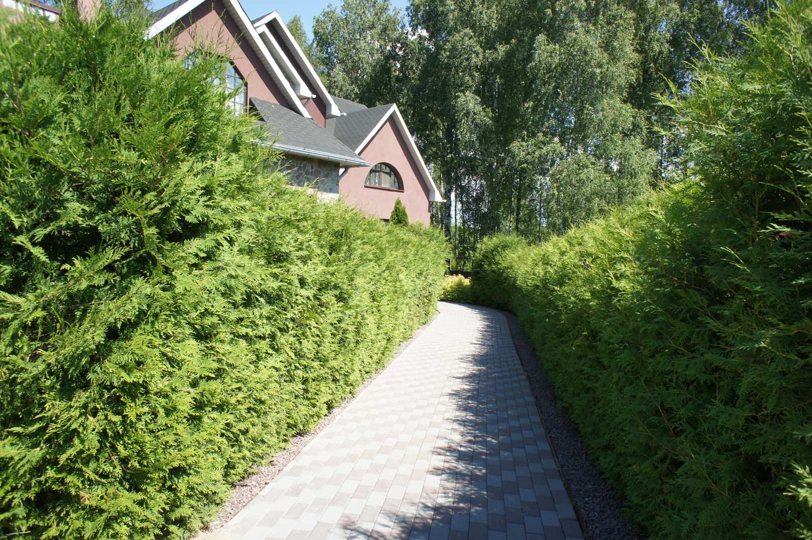 Деревенский сад