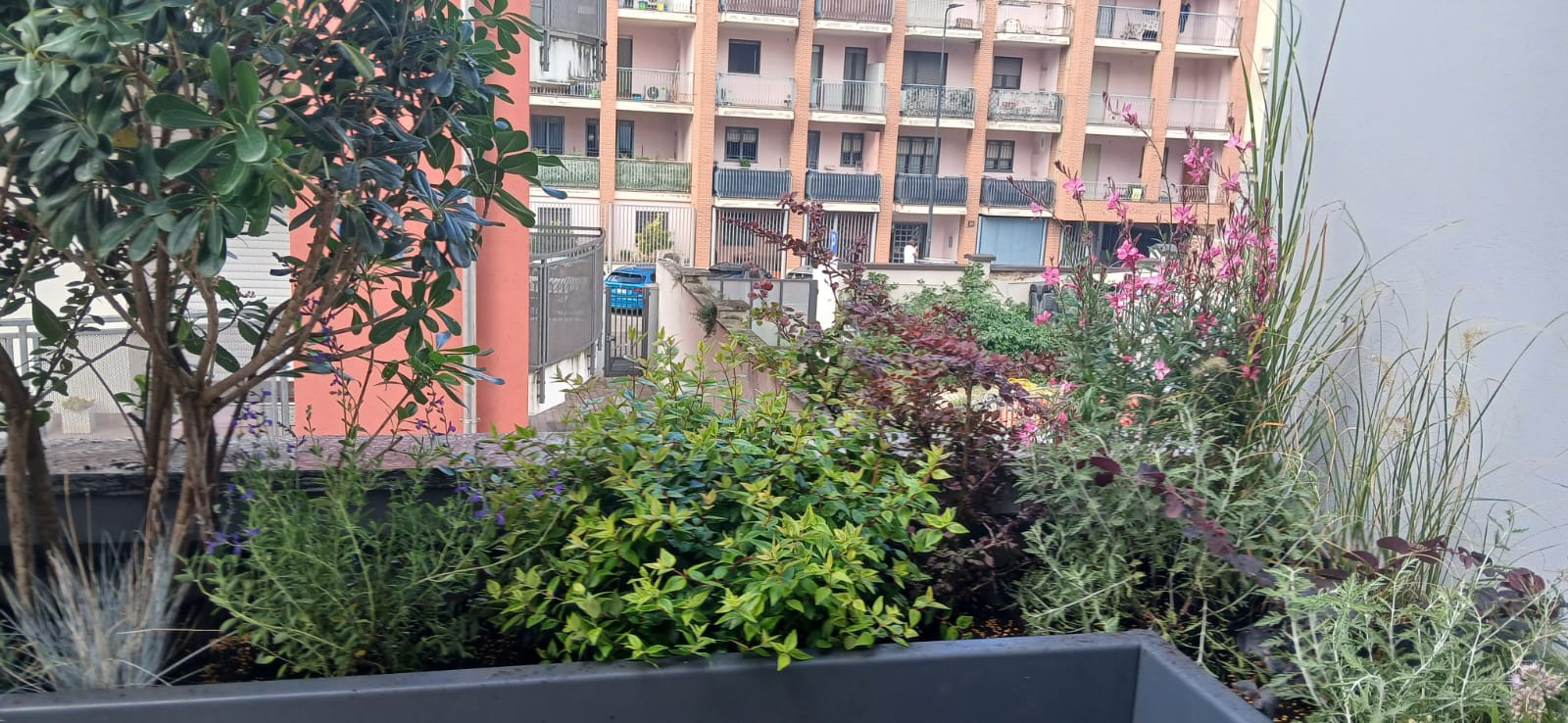 Realizzazione Terrazza dai sapori mediterranei