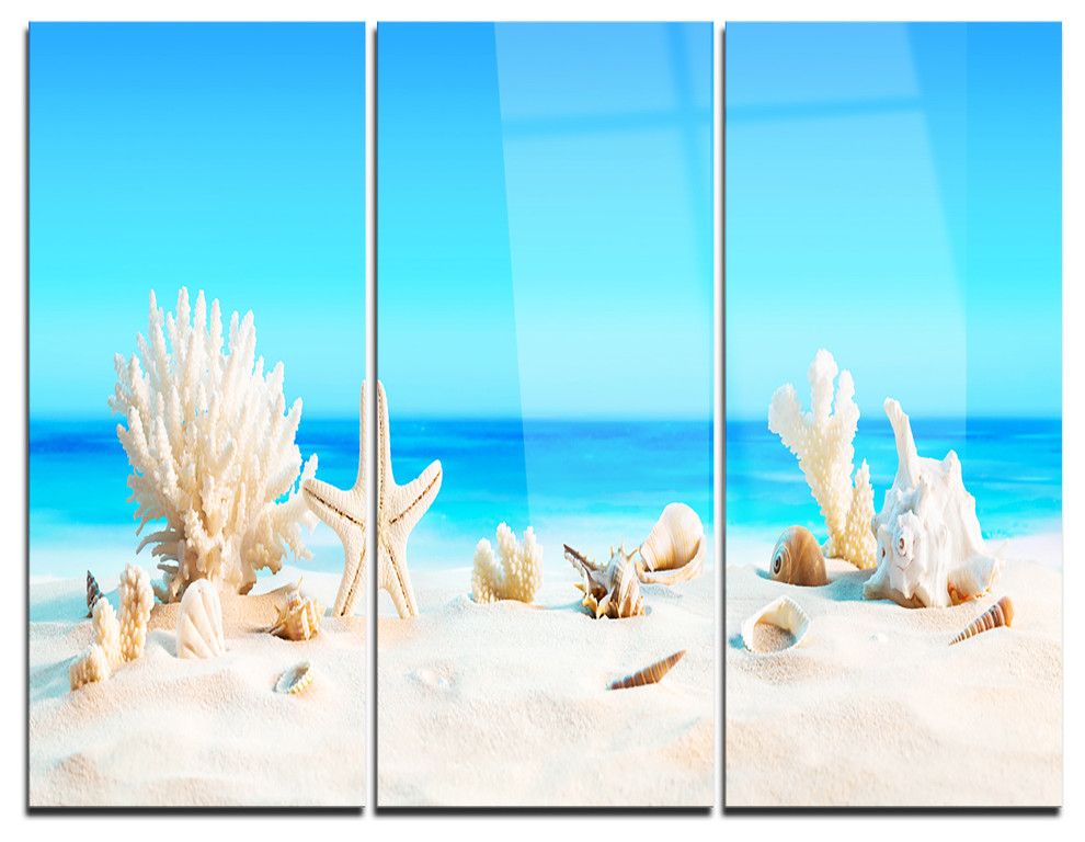 Seashore Glossy Metal Wall Art 28 H/ x/ 60 W/ x/ 1 D 5PE Blue Designart Large Sea Shells on Sand