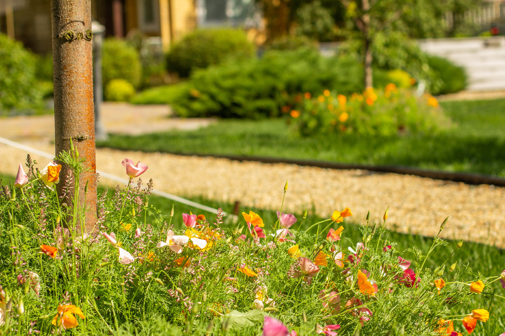 Сад с зеленой крышей