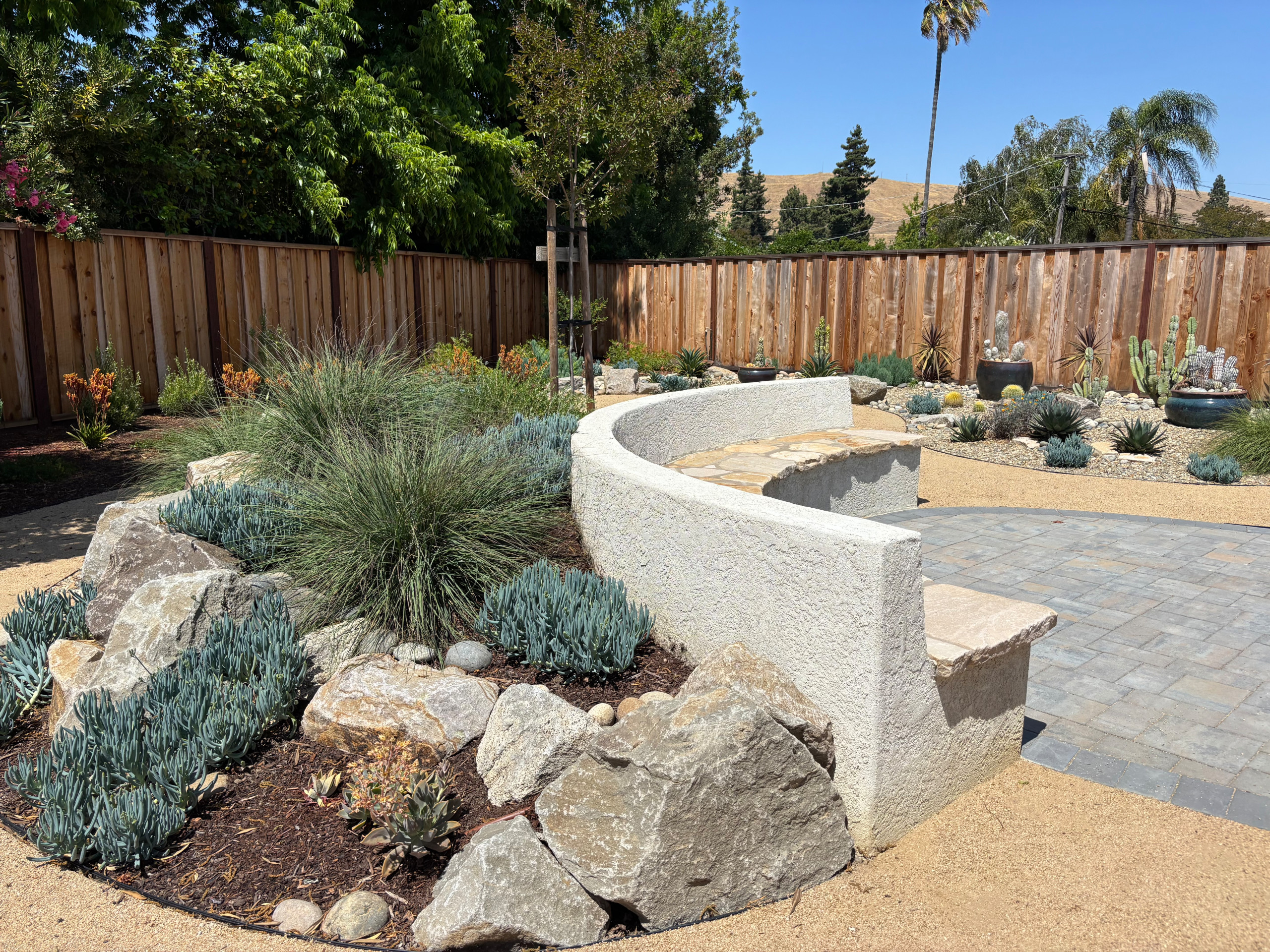 Sunny Fremont oasis