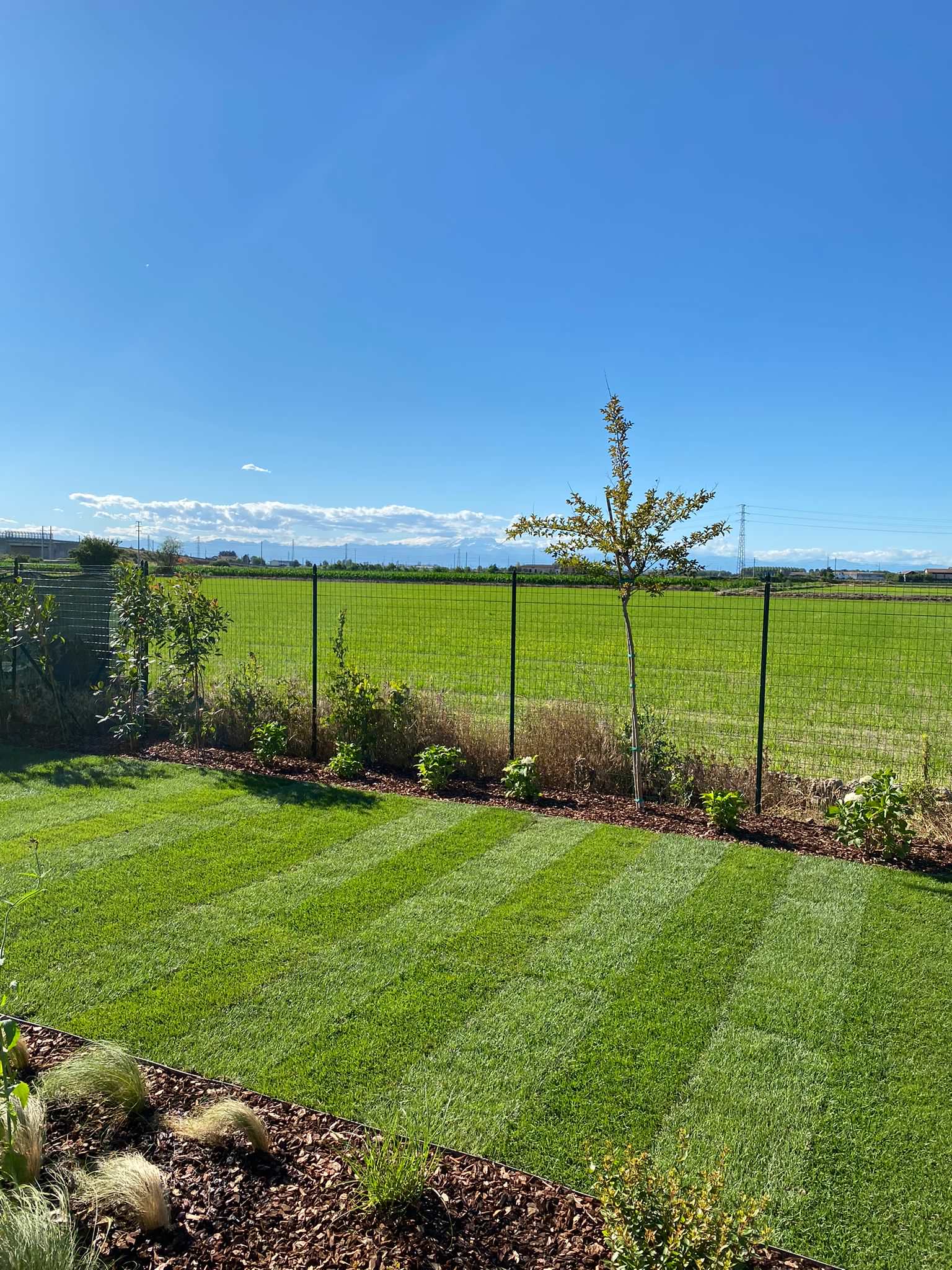 Realizzazione Giardino per villa moderna