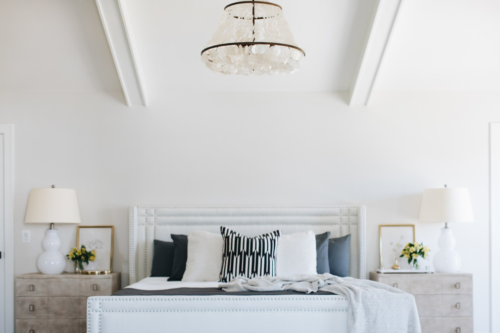 Bedroom - transitional bedroom idea in Chicago