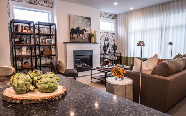 Rustic Chic transitional-living-room