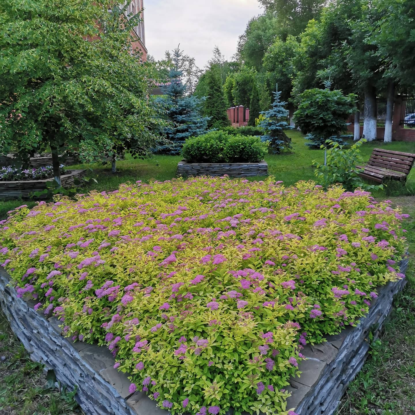 Самара ЛАП №135