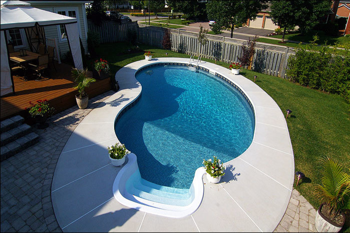 Pool - mid-sized transitional backyard custom-shaped and concrete paver lap pool idea in Toronto