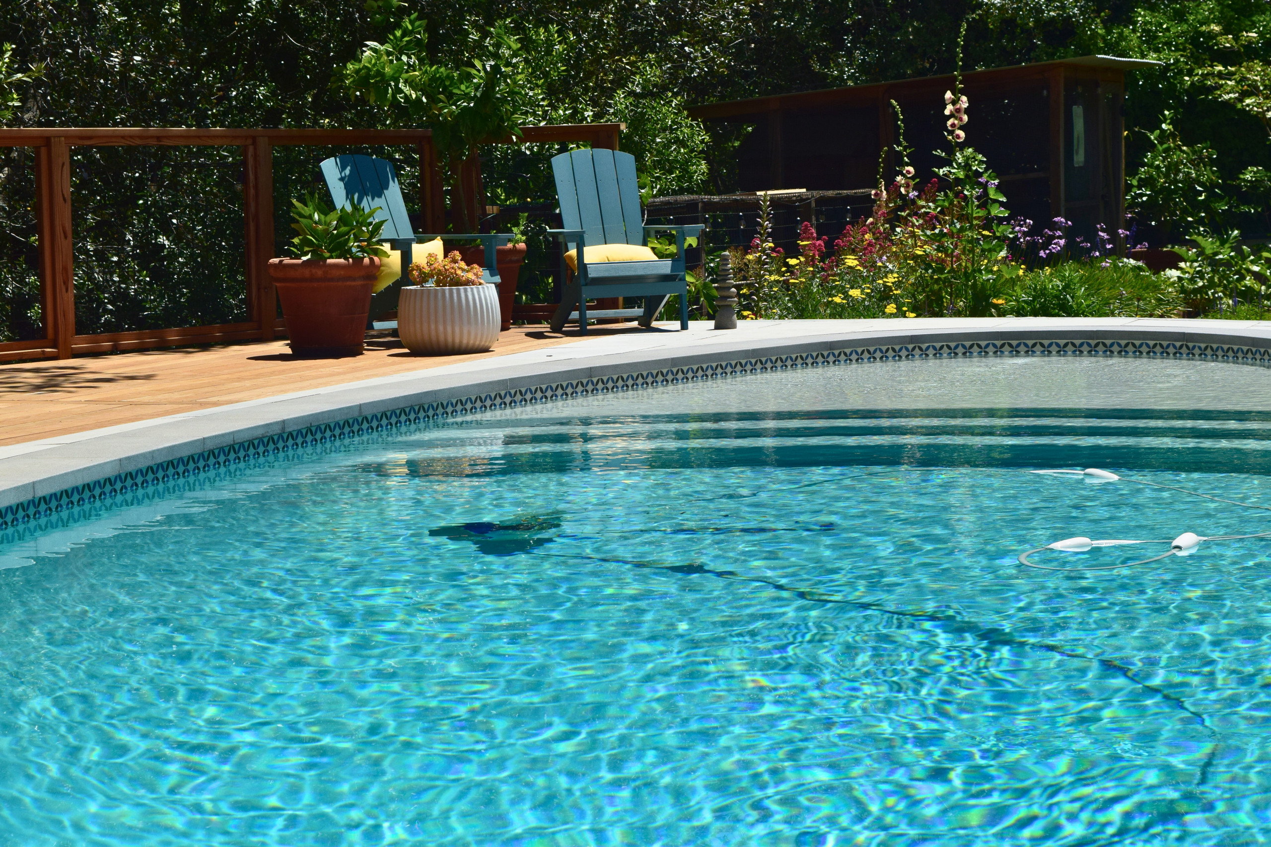 Backyard Pool Deck in San Rafael