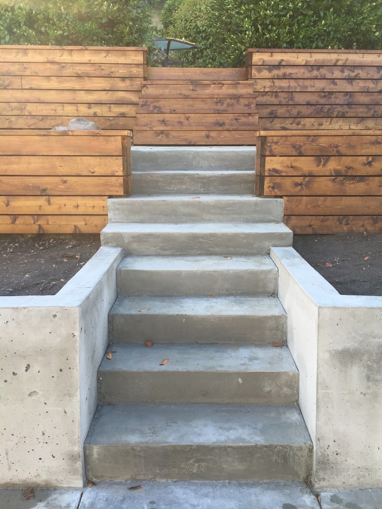 Novato Backyard Remodel