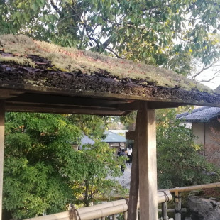 Limitless Ideas - Quezon City, PH 2110 | Houzz