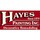 Hayes Painting Inc