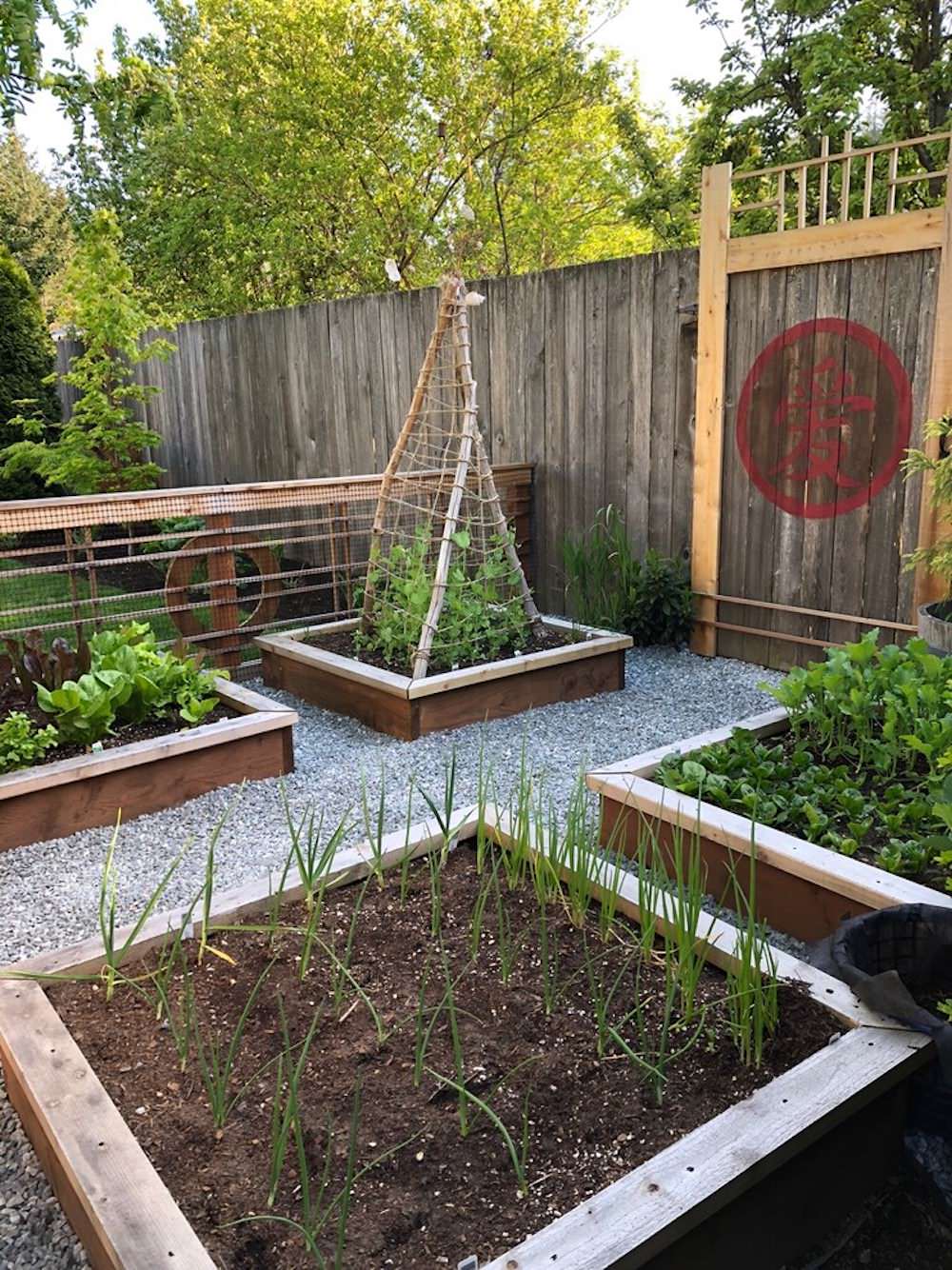See What's Growing in These Backyard Edible Gardens, image size:1000x1334