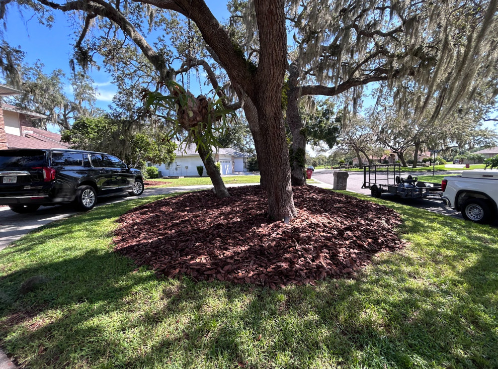 New Mulch Design and Installation